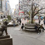 The Statue of Hachiko: A Tale of Loyalty and Endearing Friendship