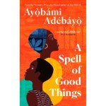Ayobámi Adébáyo makes longlist for 2023 Booker Prize